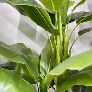 Haute qualité 220cm <span class=keywords><strong>bananier</strong></span> artificiel nouveau Design décor extérieur plante Bosai Option - Product Image 3