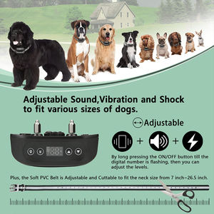 GPS Wireless Electronic Fence System Zwei Hunde Wasserdichter wiederauf ladbarer Kunststoff Smart <span class=keywords><strong>Collar</strong></span> Receiver Bark Control sorgt für Sicherheit - Product Image 6
