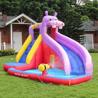 Château gonflable toboggan pour enfants Doctor Dolphin, best-seller, capacité 3 personnes, utilisation extérieure facile