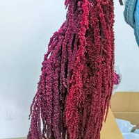 Bunga Awetan Multifungsi Warna Merah Tua Burgundy Amaranthus, Laris Manis, untuk Dekorasi Rumah dan Rangkaian Pernikahan