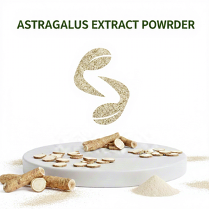Sivaroma Astragalus Dry <b>Extract</b> for Commercial Buyers Supporting Natural Product Manufacturing Lines - Product Image 1