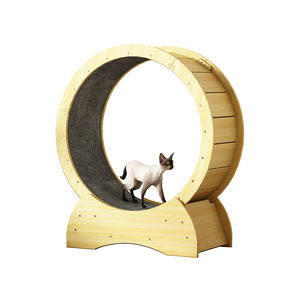 Les fabricants fournissent des tapis roulants circulaires pour chats. - Product Image 1