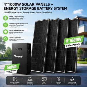 Plug & Play 51.2V 100Ah 5KWH Off Grid All in One 2.4KW Home Balcony <b>Energy</b> <b>Storage</b> <b>System</b> 2.5kwh Lithium Battery Tewaycell - Product Image 1
