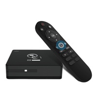 NKIWI Android 16 Q1 pour TV Box H313 4G Smart Set Top Box 8K BT5.2 Assistant vocal Quad Core pour OTT