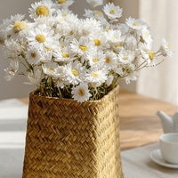 Groothandel in gedroogde bloemen, Rodanthe chrysanten, geconserveerde Rodanthe voor bloemstukken en huisdecoratie.