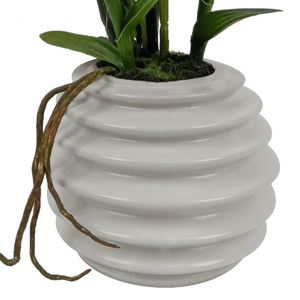 Orchidées artificielles Phalaenopsis à tige unique, aspect naturel, blanches, pour la décoration intérieure et extérieure, vente en gros - Product Image 5