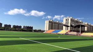 Pasador intetico para cancha <span class=keywords><strong>de</strong></span> futbolín, mejor paseo, táctico para cancha <span class=keywords><strong>de</strong></span> fútbol - Product Image 5