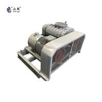 Pompa Vakum Rotary Roots AC Listrik Besi Cor OEM Tekanan Tinggi untuk Pengolahan Air Limbah dan Pabrik Kertas