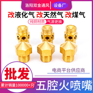 Brûleur à gaz Jiuwanli M8 à cinq chambres pour conversion GPL et gaz naturel - Product Image 2