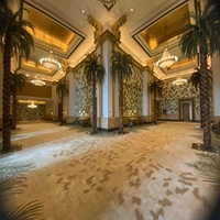 Tapis imprimé en nylon de couloir pour hôtel tapis de chambre d'hôtel luxueux tapis de bibliothèque de banquet haut de gamme