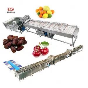 Fruit Sorting Clean and Cutter Equipment Industrial Vegetable Washing and Cutting Machine