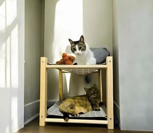 ODM OEM lit pour petit animal chat hamac solide pour animaux de compagnie maison souple pour chatons chats lit pour petit chien personnalisable hamac en cours caractéristiques - Product Image 3