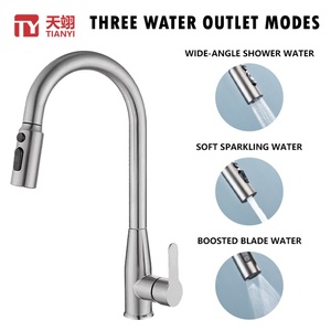 Classic Style 360 Degree Rotating Pull Out 304 Stainless Steel Material Kitchen Sink Tap - Product Image 2