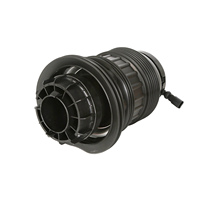Amortisseurs pneumatiques arrière gauche et droit pour Porsche Panamera 970 2009-2016 97033353331 97033353332 Accessoires auto