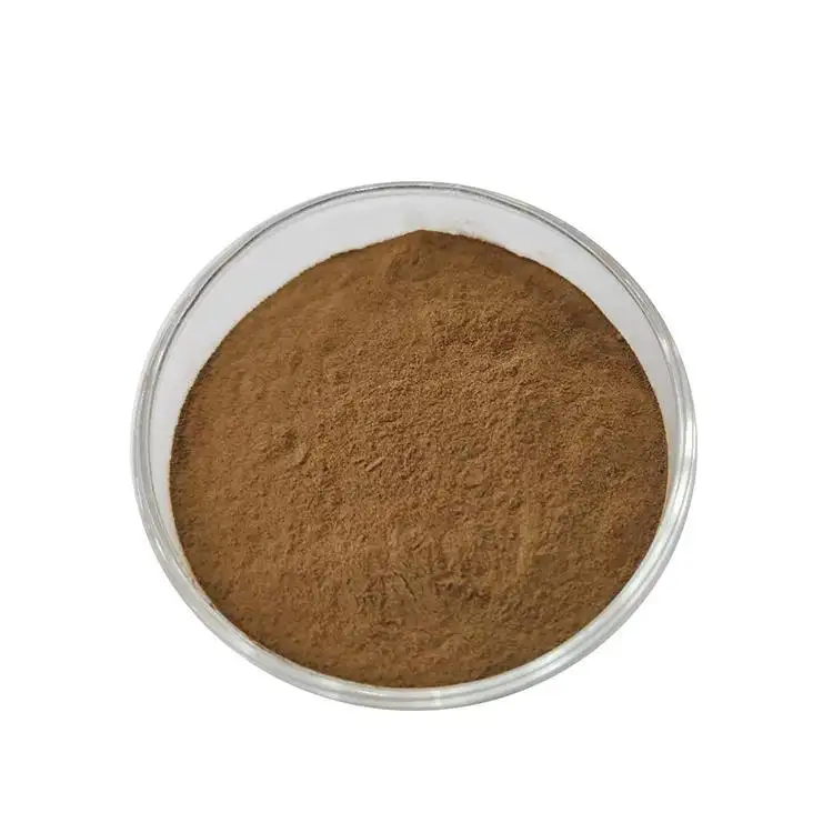 100% hochwertiges Picrorhiza Kurroa Wurzel extrakt pulver Golden Seal Powder