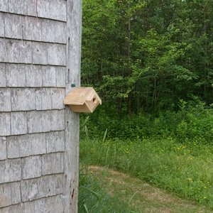 Casa de diamantes Titmouse - Product Image 5