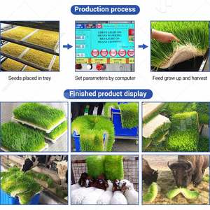 Sistema de Almacenamiento Inteligente para Cultivo de Cebada en Contenedores de Envío, Máquina para Germinar Semillas de Hongos - Product Image 6