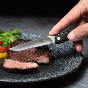 Coltello da cucina in metallo giapponese adatto per esterni multiuso da <span class=keywords><strong>campeggio</strong></span> coltelli da bistecca di frutta vendita calda per affettare il pesce - Product Image 4