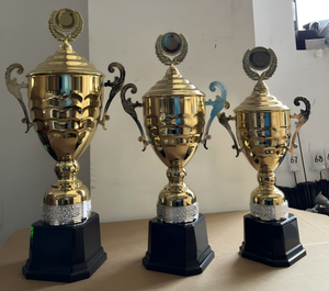 Wenzhou DM Proveedor profesional de trofeos de metal Trofeos de hierro 3364 de alta calidad Revestimiento UV personalizable Pantalla Su logotipo <span class=keywords><strong>Orgullo</strong></span> - Product Image 1