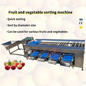 Machine de tri et de calibrage pour agrumes, oranges, mangues, avocats, citrons, kinnows, mangoustans, kiwis, tomates, pommes de terre, oignons, pommes, fruits du dragon et fruits de la passion - Product Image 3