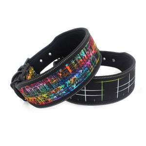 Collares de nailon con gran peso para perros, alta calidad, 2 pulgadas, para bulldog americano y táctico, muestra gratis - Product Image 6