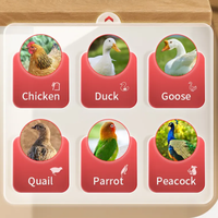 Incubateur d'œufs 3-en-1, couveuse automatique, éleveuse, taux d'éclosion élevé, double alimentation, contrôle numérique pour poulets, canards, oies, cailles