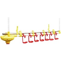 TBB Système automatique d'alimentation et d'eau potable pour poulets Garantie 1 an Mangeoires pour animaux en acier PP Fermes pour poulets Condition