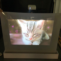 Nouveau film de projection arrière transparent chaud
