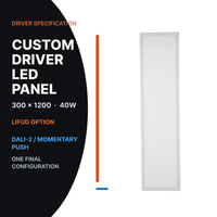 Panneau LED personnalisé 300x1200 40W avec option LIFUD et configuration électrique DALI Push pour projets