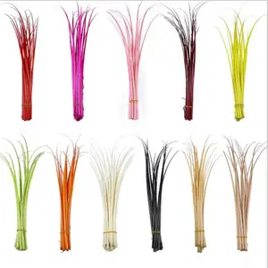 45-55cm Cheap Ostrich feather pole Fashion Accessionoal Stripped Ostrich Feathers Spines Quill