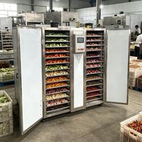 Automatische industriële uien-kruiden-voedseldehydrator droogmachine fruit-vleesdroger warmtepomp voedseldehydrator