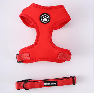 Conjuntos de Arnés para Perro con Diseño Personalizado, Collar para Cachorro, Correa, Bandana Ajustable y Chaleco Transpirable para Gato - Product Image 5