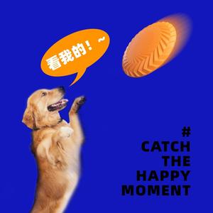 Moda per animali domestici in Silicone per <span class=keywords><strong>cani</strong></span> da <span class=keywords><strong>addestramento</strong></span> giocattolo interattivo per <span class=keywords><strong>cani</strong></span> da masticare giocattoli resistenti in gomma morbida per animali domestici dischi volanti 18cm - Product Image 2