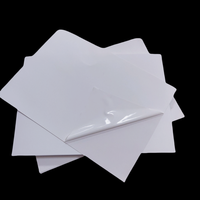 Papel Adhesivo de Seguridad Destructible Imprimible con Inyección de Tinta, Papel Adhesivo Tipo Cáscara de Huevo A4 para Graffiti