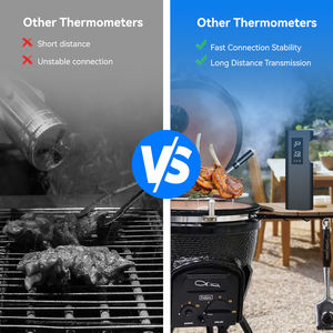Termômetro Digital Bluetooth Sem Fio Lonnmeter para Churrasco com Sonda de Construção Metálica IP68 à Prova d'Água para Temperatura de Carne - Product Image 6