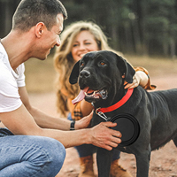 Gamelles pliables pour chiens avec logo personnalisé Gamelle portable pour chiens chats Plat d'alimentation pliable pour animaux de compagnie pour voyager et marcher avec mousquetons