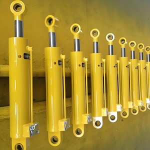 Vérins hydrauliques en acier flexibles pour compacteurs de déchets, kits de pompe à piston sur mesure - Product Image 1
