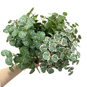 Ramillete de Hojas de Eucalipto Artificiales Meng Jie, Plástico Verde para Decoración de Interiores, Arreglos Florales y Paisajismo - Product Image 5