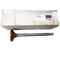 Pièces de rechange d'origine pour moteur diesel marin MTU 20V1163 TB83 5800530101 Valve d'admission