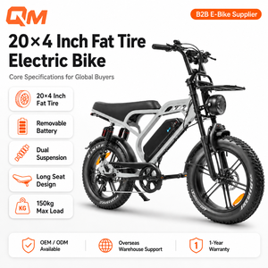 Vélo de montagne électrique QMWHEEL V20 Limited 48V, vélo de ville électrique à pneus larges, selle longue, vente en gros pour concessionnaires, OEM, ODM, B2B, fabrication - Product Image 1