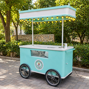 Carrito de comida manual, carrito de helados, acero inoxidable de alta calidad - Product Image 1