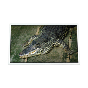 65 inch 4K HV650QUB-N90 TV LCD màn hình hiển thị - Product Image 1