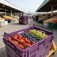 Caisse empilable et emboîtable en plastique léger, durable et écologique HAOSEN pour le stockage et l'emballage de légumes et de fruits