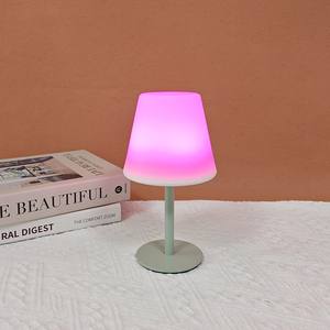 Ngọn Lửa <span class=keywords><strong>LED</strong></span> Hiệu Ứng Đa Ánh Sáng Chế Độ Màu Xách Tay New Hot Bảng Đèn Cho Phòng Ngủ - Product Image 2