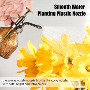 Retro Bronze Glass Watering Can with <strong>Manual</strong> Pump <strong>Sprayer</strong> for Home Use on Plants Gardens for Farm Applications Indoor Home Decor - Product Image 3