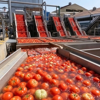 Automatische tomatenketchup productielijn complete sausverwerkingsinstallatie concentratie menging sterilisatie vulapparatuur