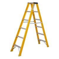 Échelle d'ingénierie, escalier de levage, échelle pliante droite en alliage d'aluminium, bon prix