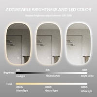 Miroir de douche de forme ovale rétro-éclairé moderne en continu à gradation éclairée par LED personnalisée tactile