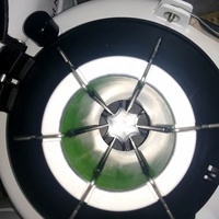 Conteneur d'azote liquide YDS 1L/2L/3L6L/10L/15L/20L/30L/35L avec pistolet d'insémination visuelle Portable pour bovins