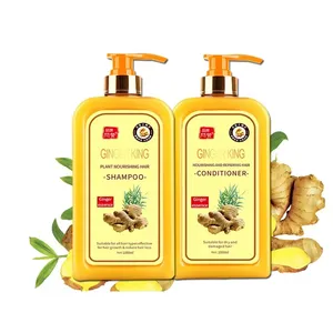 SUCCSION Unisex Hair Care Set Ginger Anti Hair Loss Shampoo and Conditioner Anti Dandruff Hair Regrowth Treatments in Gel Form